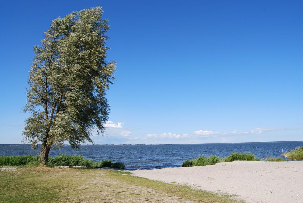 Willa Ferienhaus In Bartelshagen II Hessenburg Zewnętrze zdjęcie